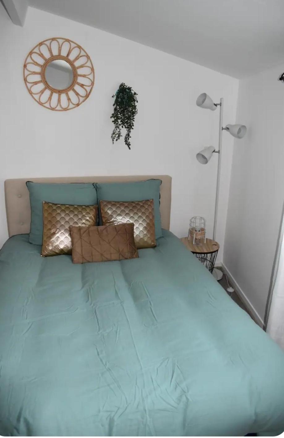 פואטייה Joli Apartment Proche Du Centre-Ville מראה חיצוני תמונה